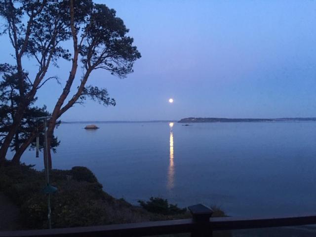 Puget Sound Chic Romantic Cottage With Private Beach Access & Gated Entry Port Ludlow Bagian luar foto