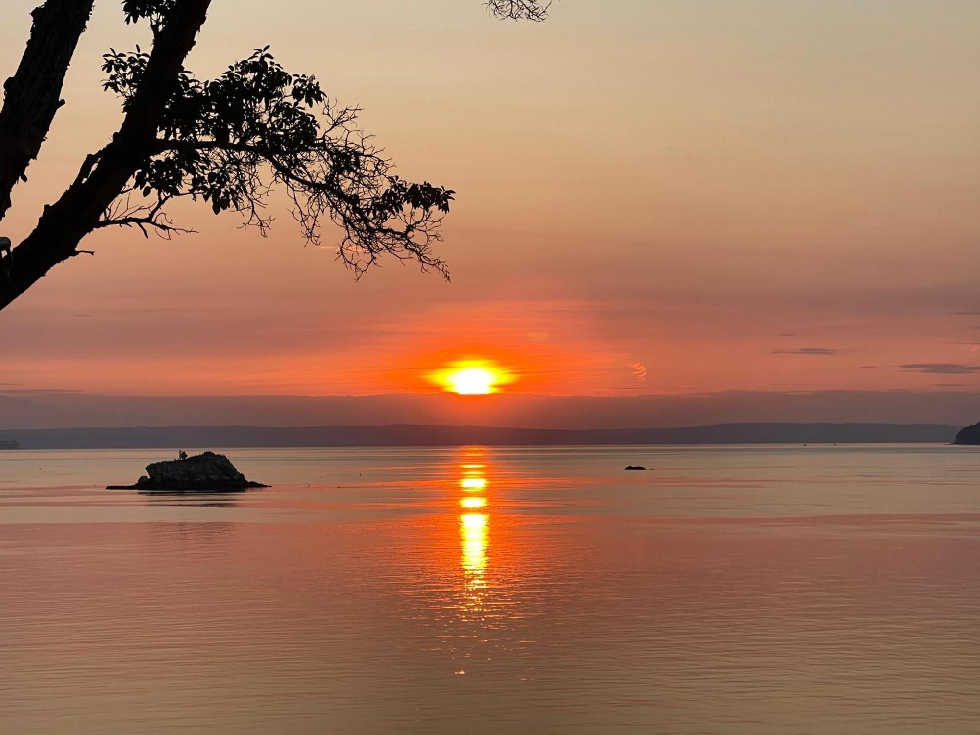 Puget Sound Chic Romantic Cottage With Private Beach Access & Gated Entry Port Ludlow Bagian luar foto